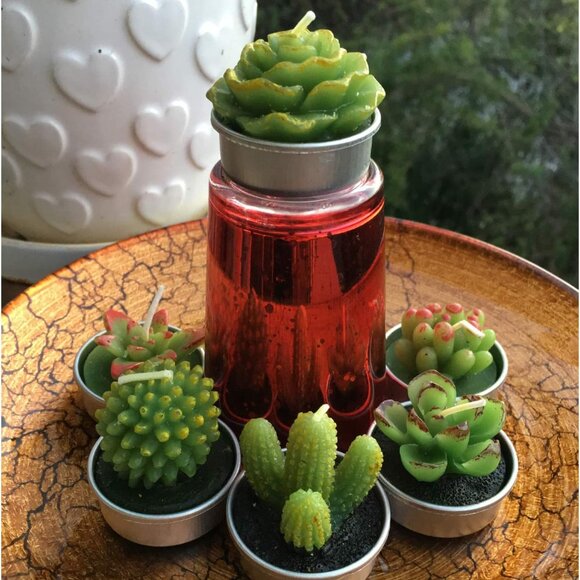 Scented Succulent Cactus Tealight Candles, 6pk NIP - Picture 12 of 13